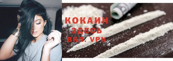 ПСИЛОЦИБИНОВЫЕ ГРИБЫ Переславль-Залесский