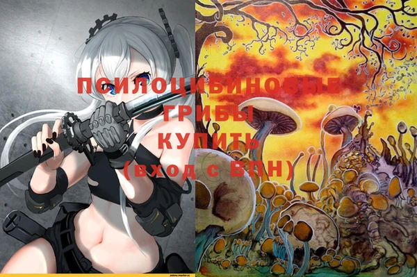 ПСИЛОЦИБИНОВЫЕ ГРИБЫ Переславль-Залесский