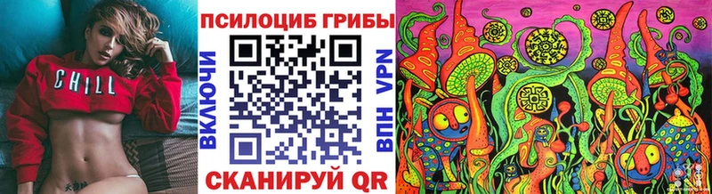 как найти   Кинешма  Галлюциногенные грибы MAGIC MUSHROOMS 